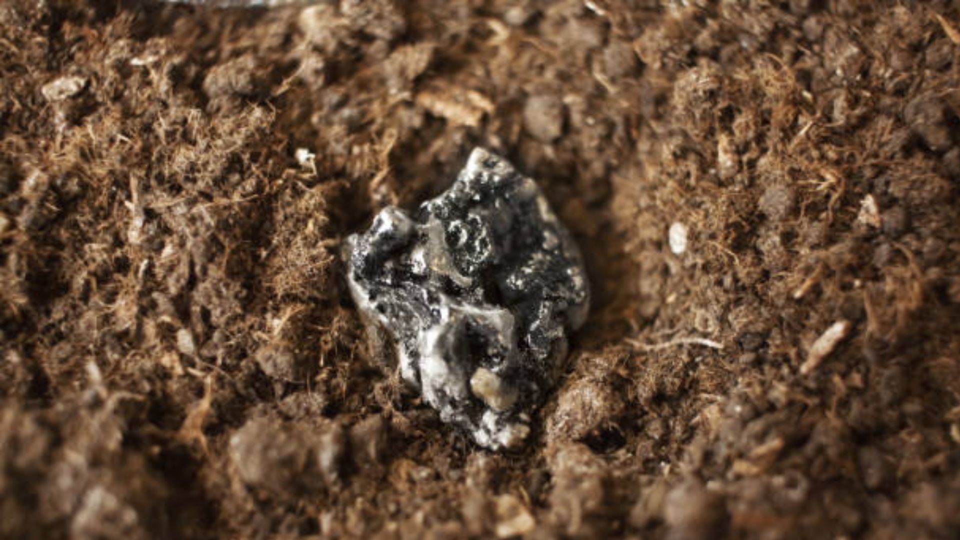 rare earth adalah